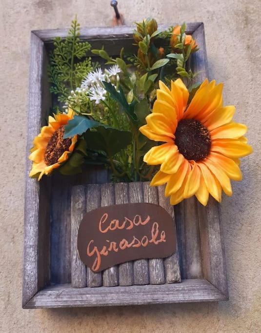 Casa Il Girasole Villa Boccheggiano Exteriör bild